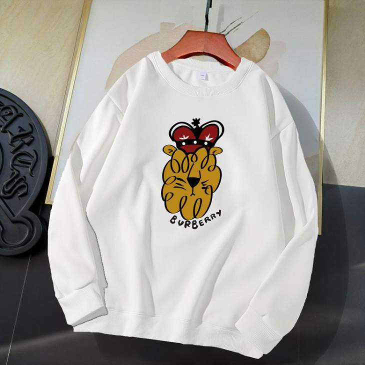 Picture of Burberry Sweatshirt _SKUBurberryS-5XL11Ln12531046